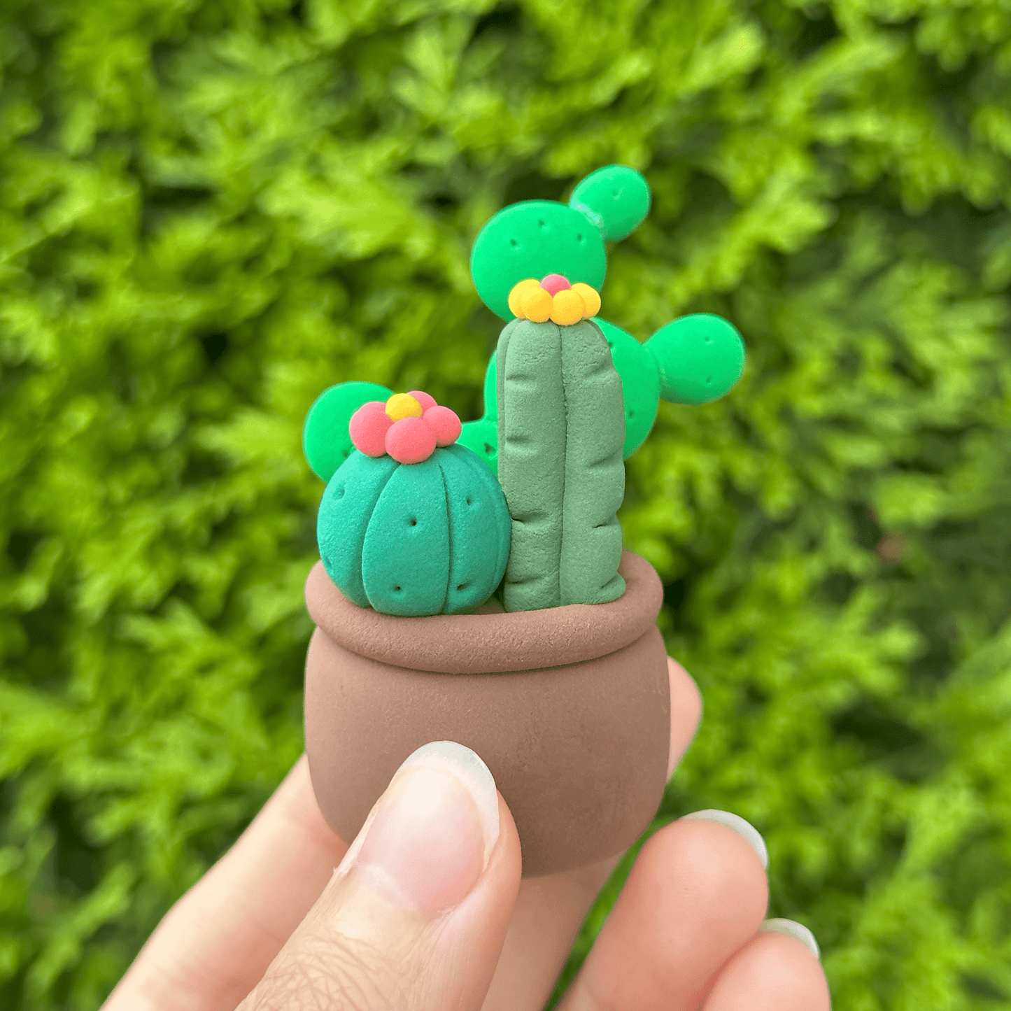 Crazy Cacti - Claymoo