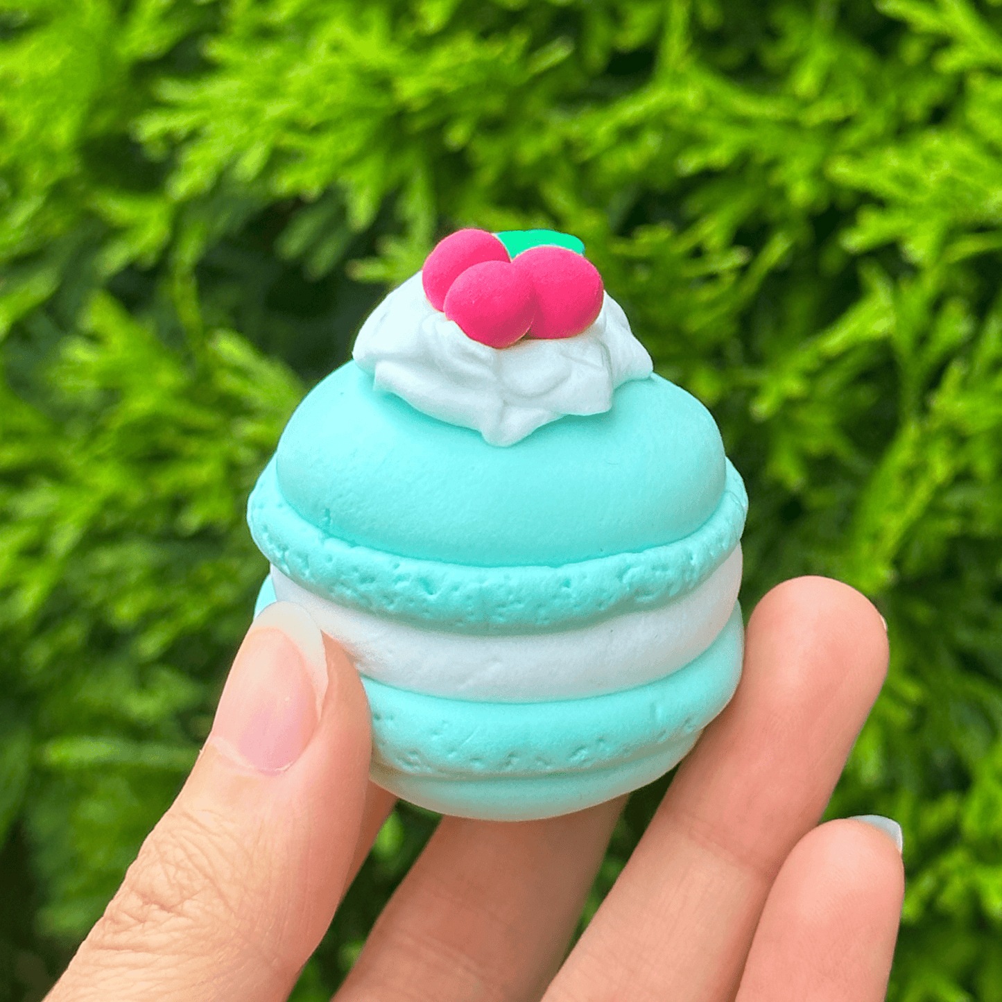 Macaron me Crazy - Claymoo