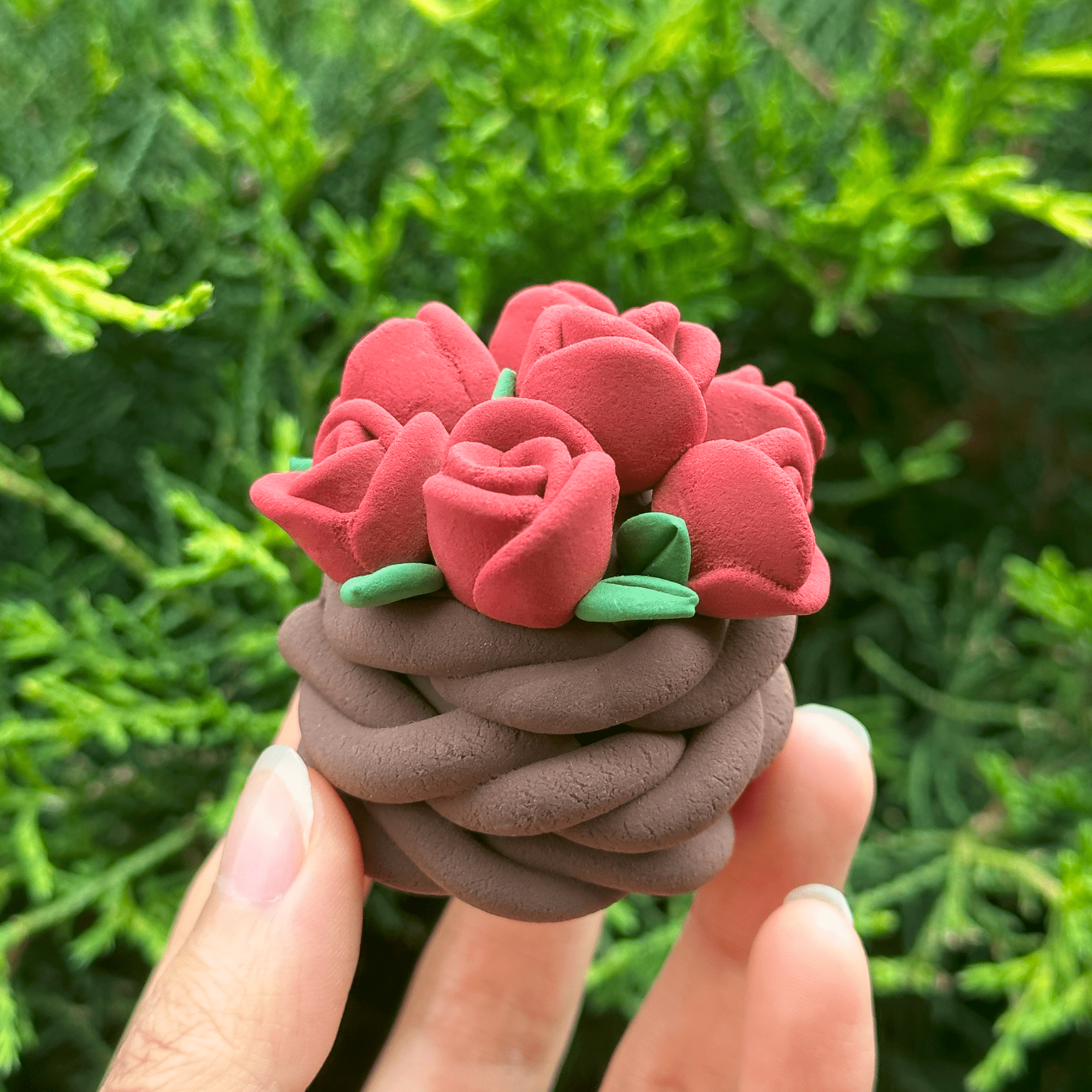 Red Clay Roses Roses are Red | Air Dry Foam Clay Kit – Claymoo